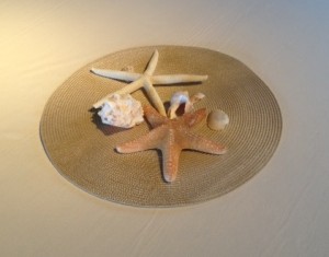 starfish